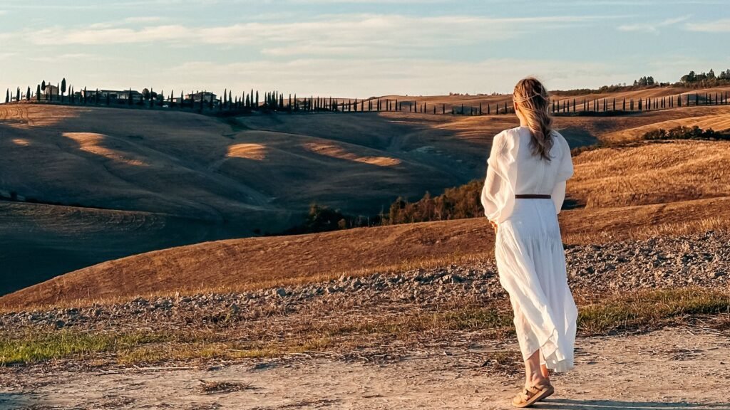 author_and_tuscany_cypress_field_wallpaper author_and_tuscany_cypress_field_wallpaper