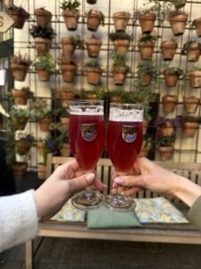 De Halve Maan brewery fruit beer